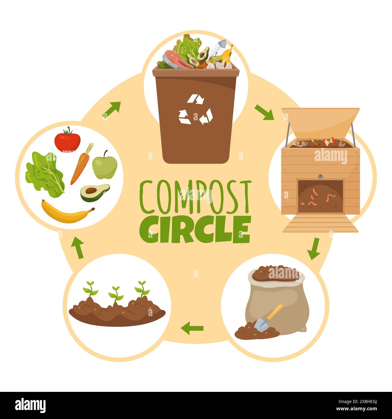 Infografik zum Lebenskreislauf des Kompostens. Umwandlung organischer Abfälle in Düngemittel. Bodenhumustik. Wachsende Setzlinge. Gemüseschalen. Recyclingphase für Müll Stock Vektor
