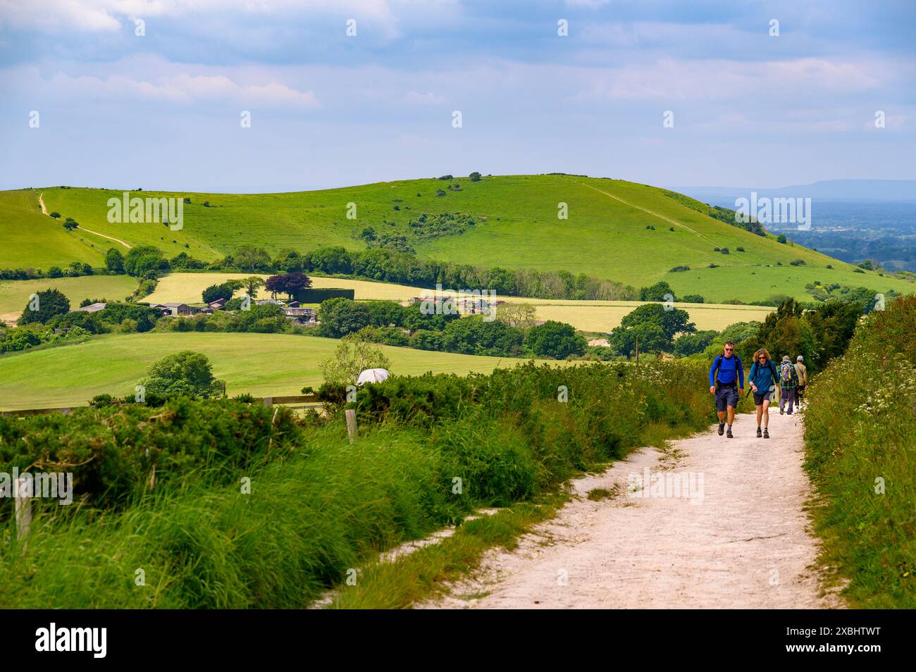 Grünes und angenehmes Land: Blick auf den South Downs National Park und Farmland mit Wanderern entlang des South Downs Way, West Sussex, England. Stockfoto Grünes und angenehmes Land: Blick auf den South Downs National Park und Farmland mit Wanderern entlang des South Downs Way, West Sussex, England. Stockfoto