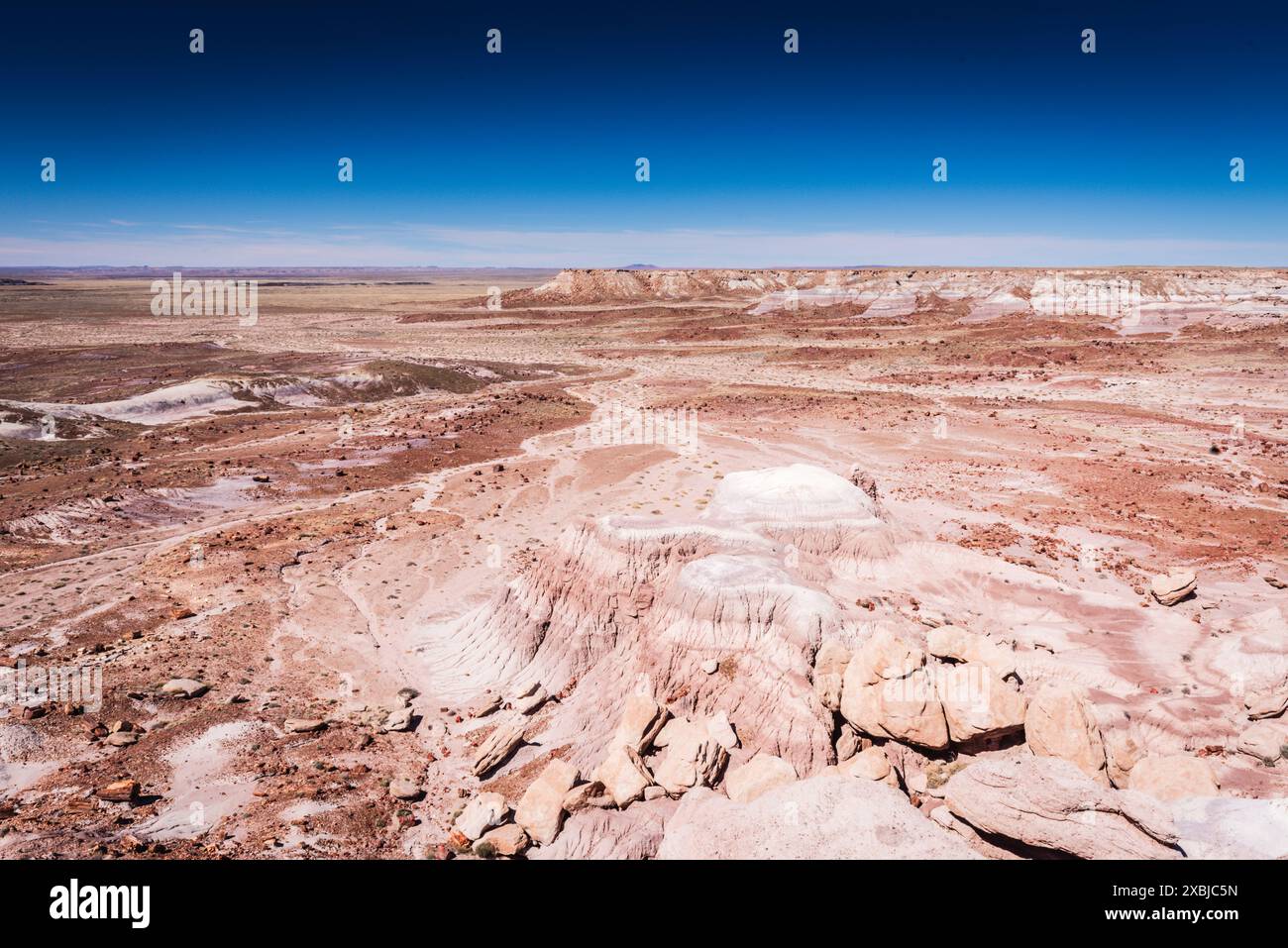 Malerischer Überblick über die Painted Desert im Petrified Forest National Park. Stockfoto