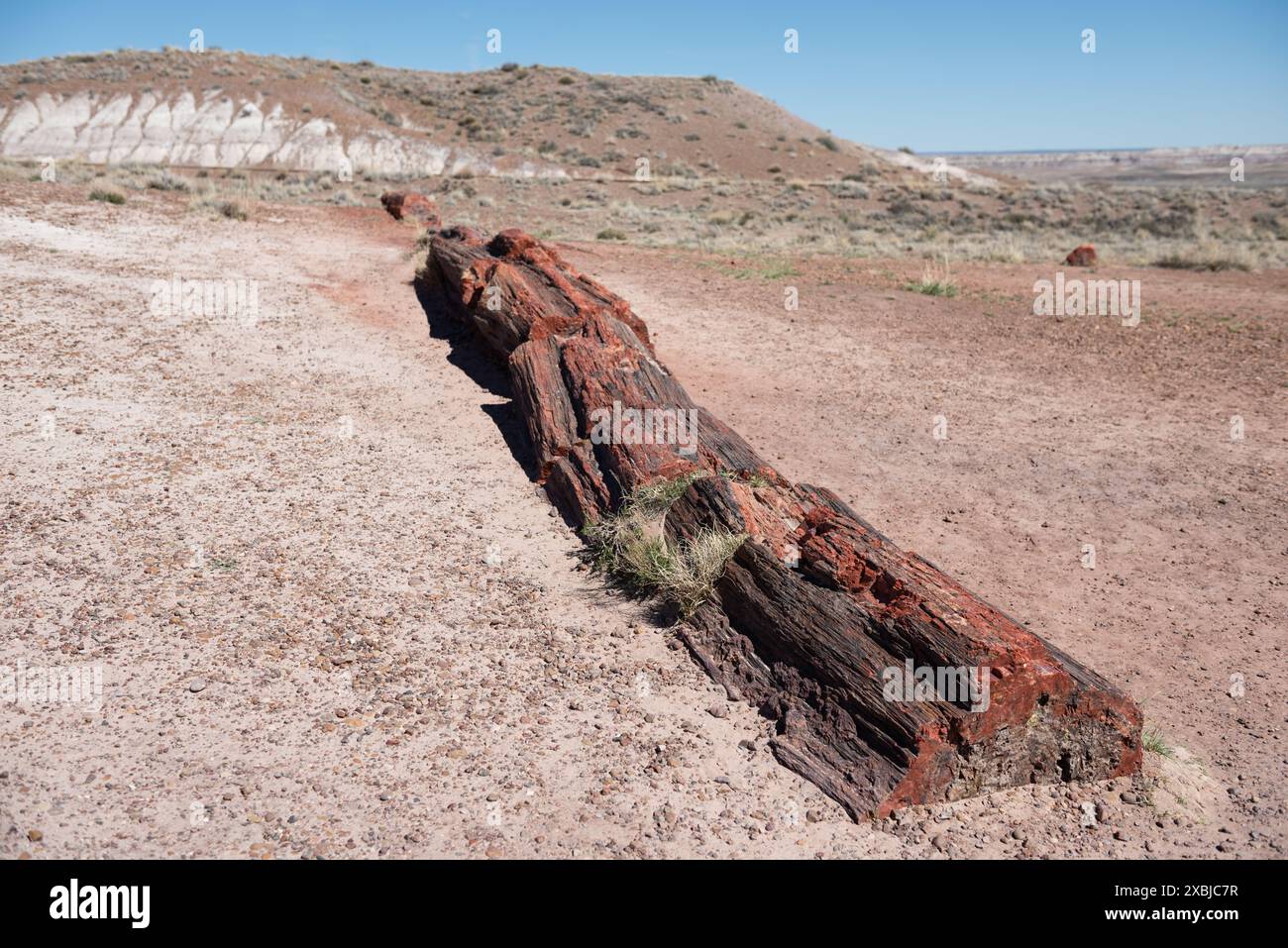 Malerischer Überblick über die Painted Desert im Petrified Forest National Park. Stockfoto