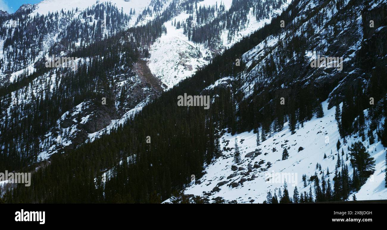 Schnee fällt in den Colorado Rockies. Stockfoto