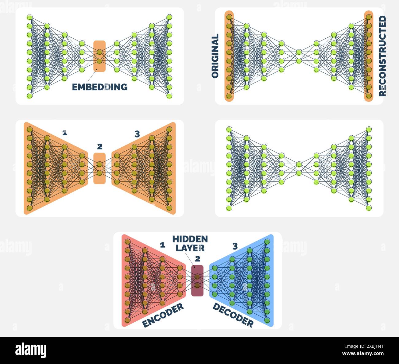 Comprehensive Autoencoder Neural Network Guide Coding to Decoding Visuals, Set mit fünf Illustrationen Stock Vektor