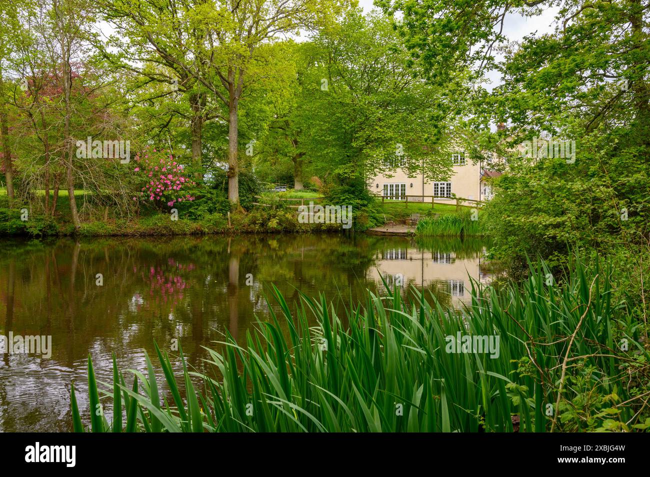 Idyllische Szene mit einem kleinen See umgeben von üppiger Vegetation und einem Steinhaus im Garten dahinter. In Der Nähe Von Scaynes Hill, East Sussex, England. Stockfoto