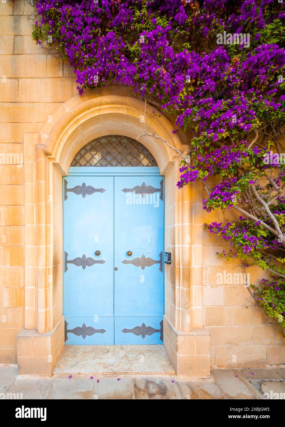 Wunderschöne Attraktion in Mdina (der stillen Stadt). Fantastische Aussicht auf eine gelbe Hauswand mit hellblauer Tür und lila Blumen Stockfoto