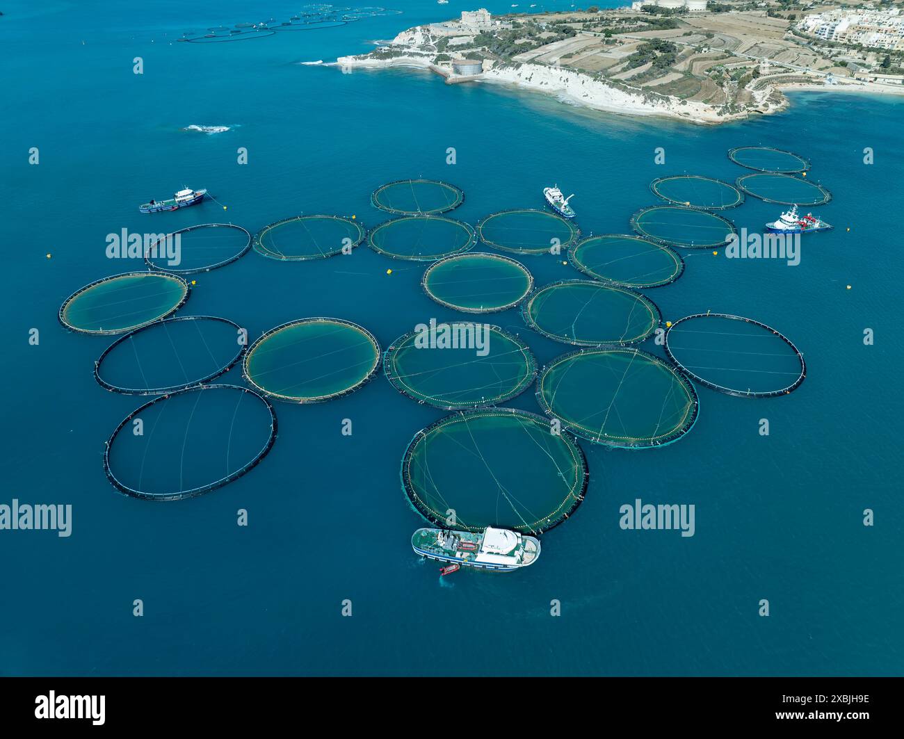 Fischzucht in Malta in der Nähe von Mashaxlokk. Thunfischzuchtringe mit Fischerboot in der Nähe der Küste Maltas. Stockfoto