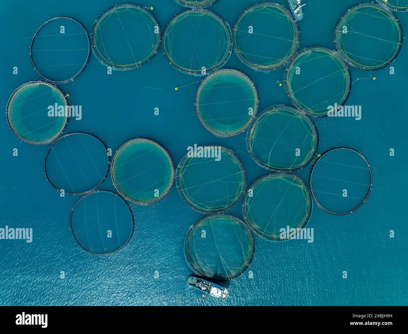 Fischzucht in Malta in der Nähe von Mashaxlokk. Thunfischzuchtringe mit Fischerboot in der Nähe der Küste Maltas. Stockfoto