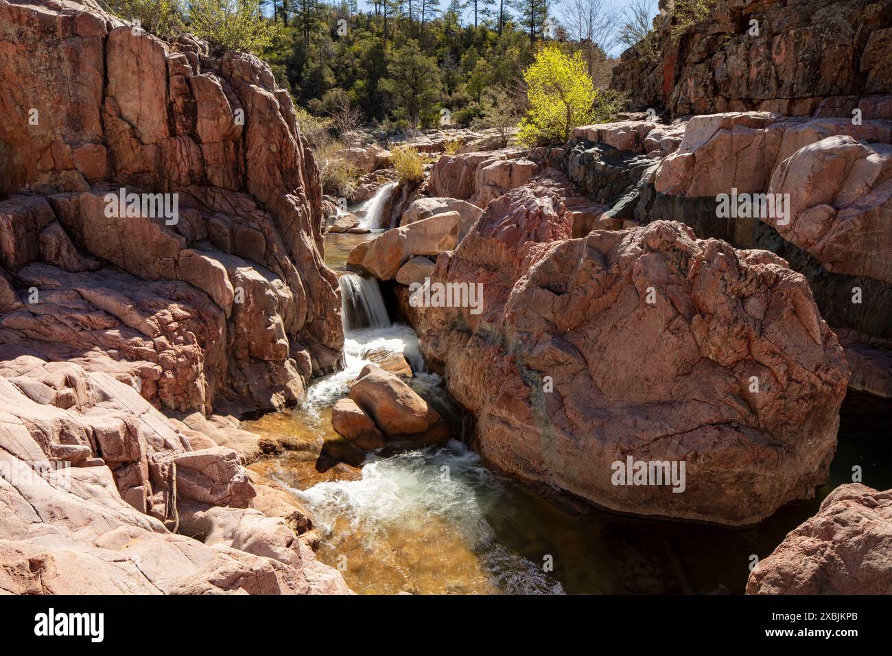 Wundervolle Wasserfälle entlang des herrlichen Water Wheel Falls Wander Trail in der Nähe von Peyson, Arizona (USA). Verführerisch, Erstaunlich, Atemberaubend, Fesselnd, Stockfoto