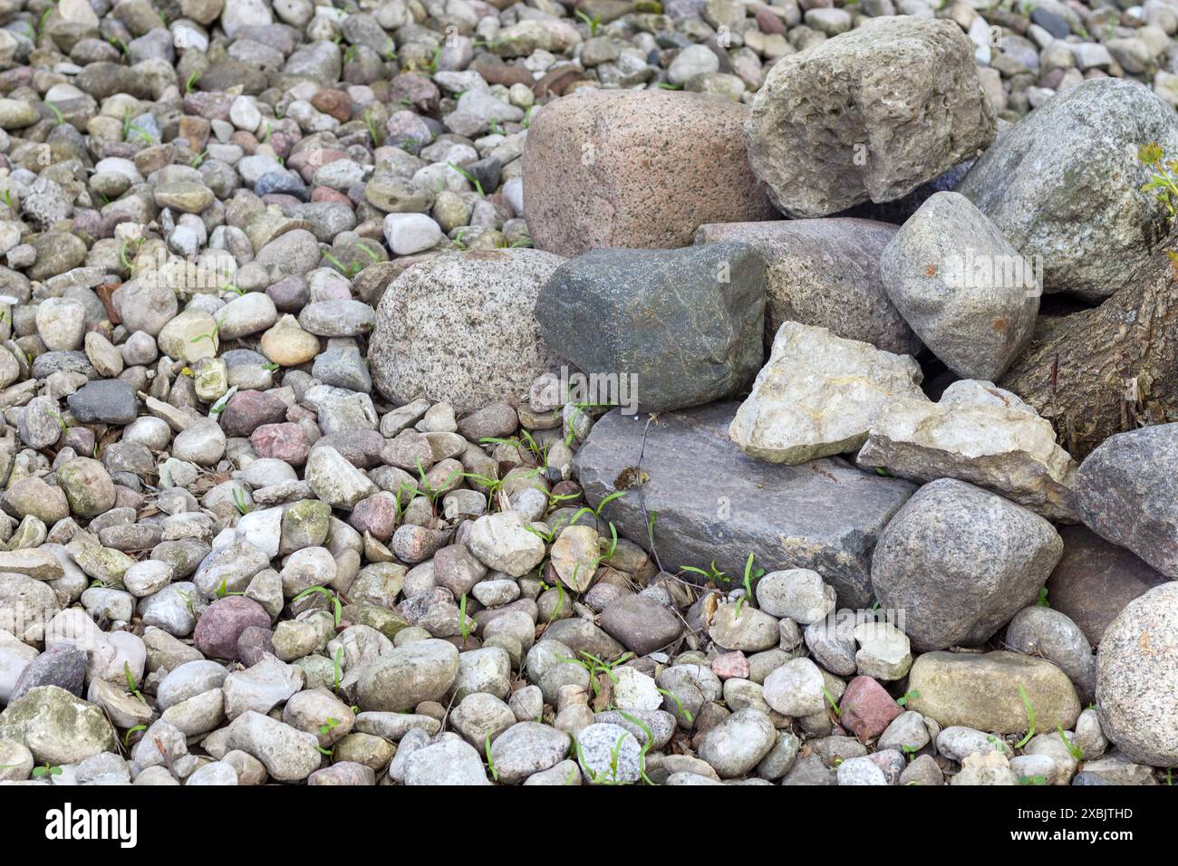 Große und kleine Steinkiesel an einem trockenen Strand Stockfoto