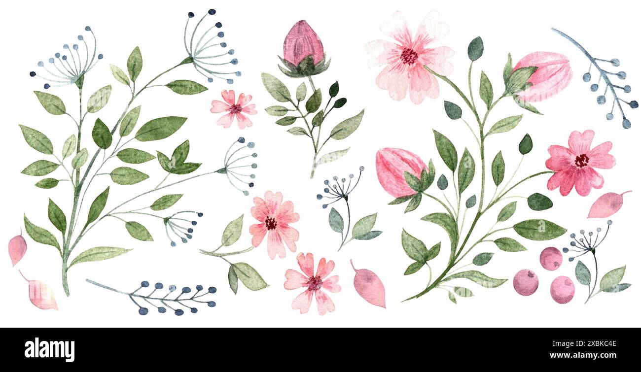 Set mit Aquarellillustrationen von Wildblumen, Knospen, Blättern und Dill. Die Illustration wird von Hand gezeichnet, geeignet für Karten, Stickereien, Clipart, Textil Stockfoto