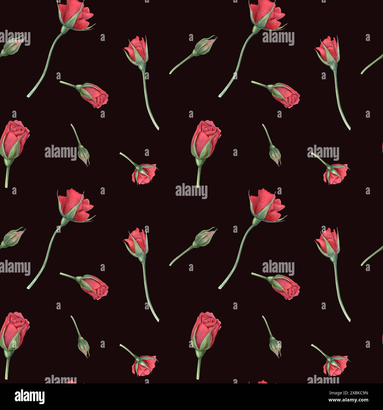 Blumendesign mit roten Rosen. Blüte und Knospen. Nahtloses Muster mit Scharlachrose im Garten. Fliegende blühende Blumen. Aquarellabbildung Stockfoto