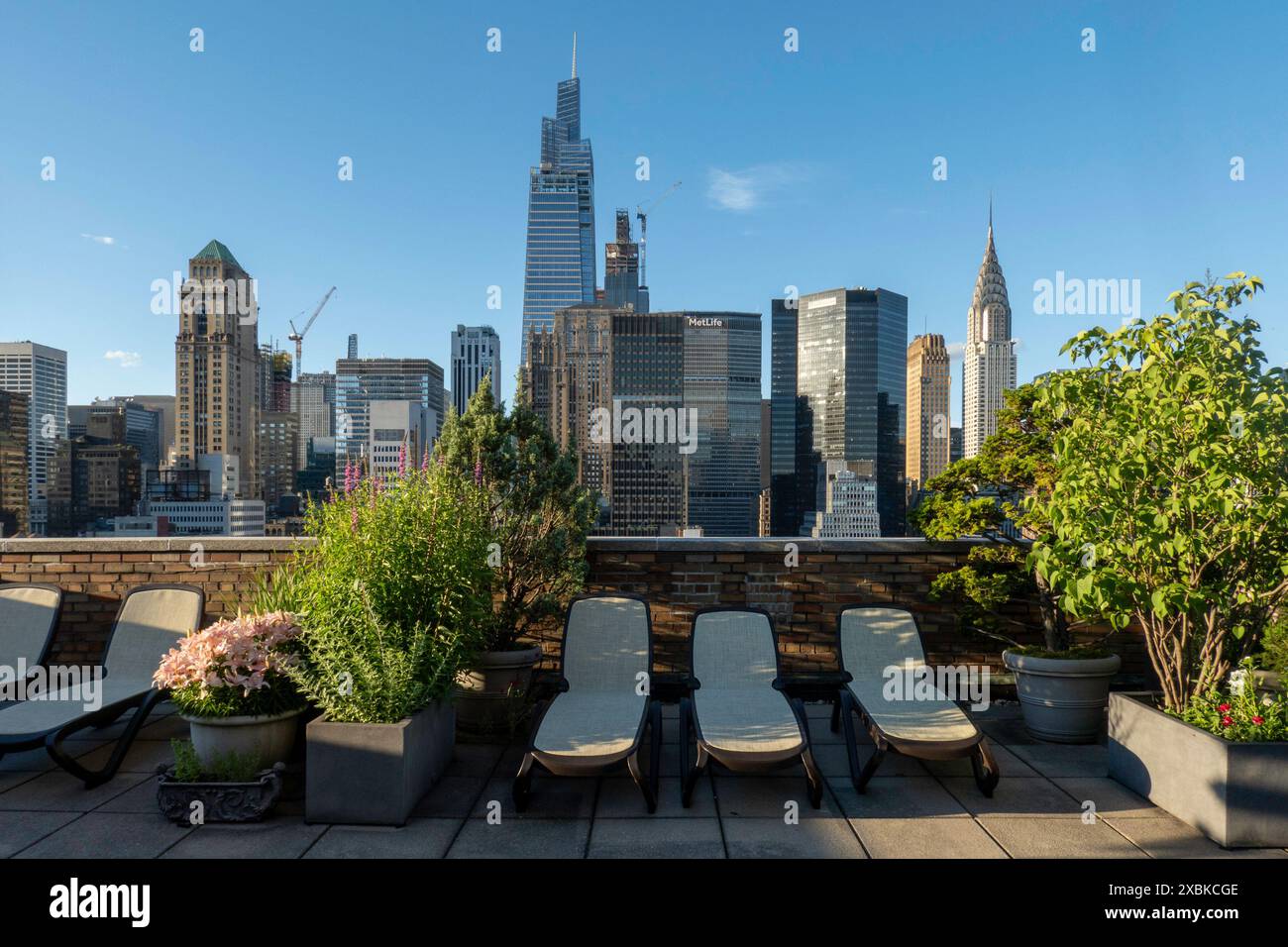 Dachgarten mit Skyline im Hintergrund, NYC, USA, 2024 Stockfoto