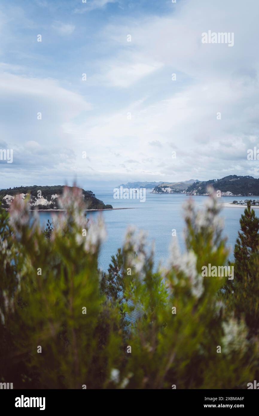 Blick auf das Meer und die Küste mit Bäumen und Felsen im Vordergrund, Whangamata, Neuseeland Stockfoto