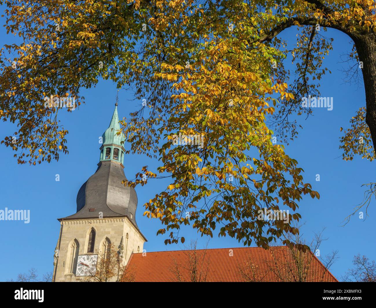 Ein Kirchturm erhebt sich in den blauen Himmel, umgeben von goldenen Herbstblättern und einer friedlichen, historischen Atmosphäre, nottuln, münsterland, deutschland Stockfoto