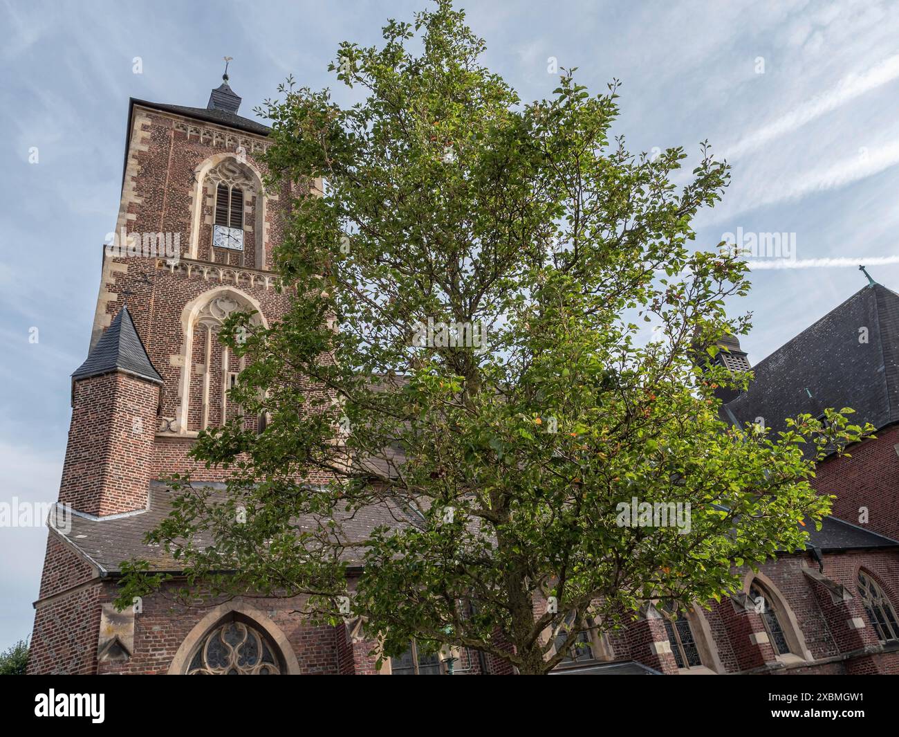 Alte rote Backsteinkirche mit hohem Turm, teilweise von einem grünen Baum bedeckt, unter blauem Himmel, ramsdorf, münsterland, Deutschland Stockfoto