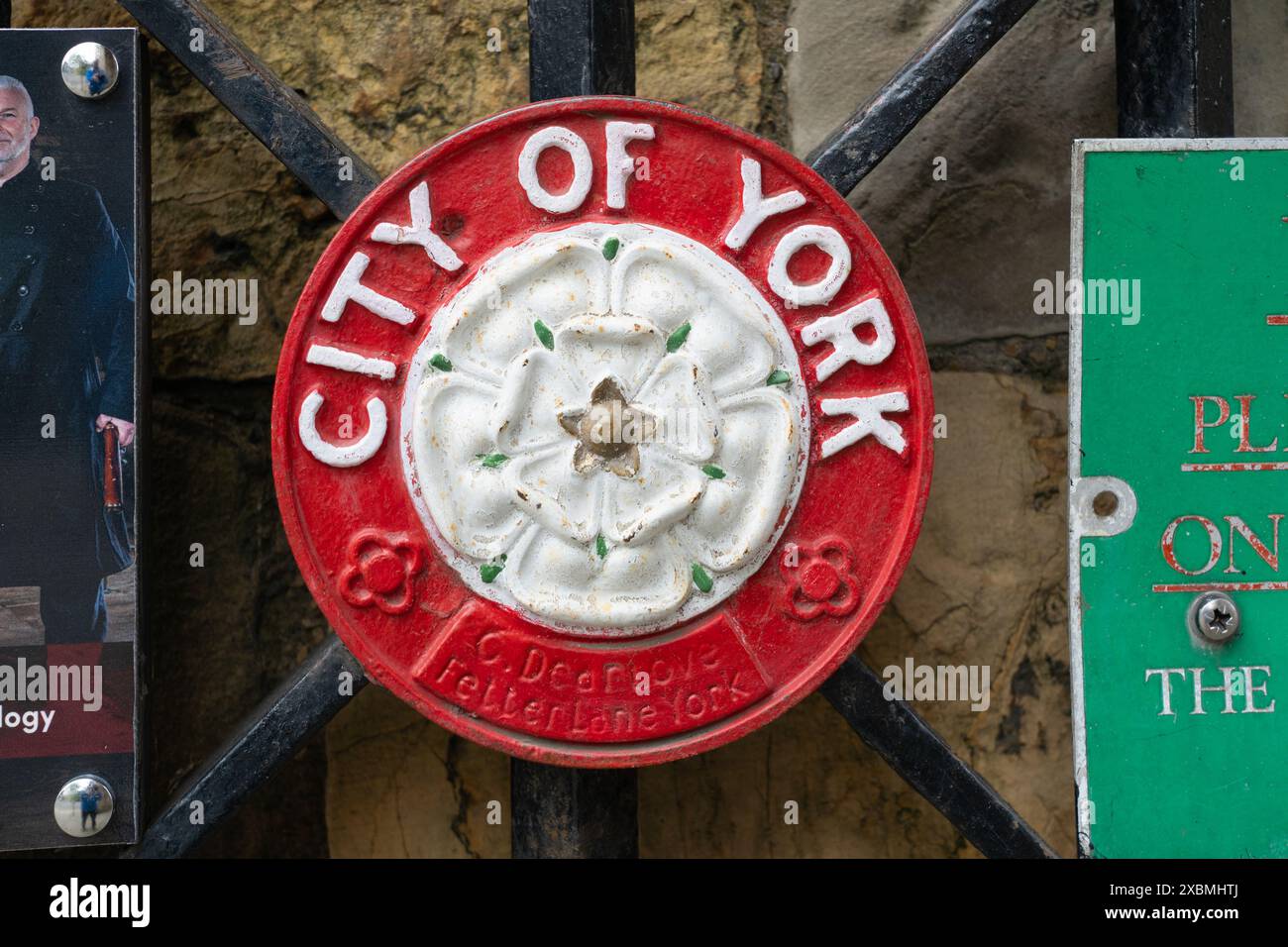 Die Weiße Rose von York (latinisiert als rosa alba, strahlend als Rose argent) ist eine weiße heraldische Rose, die im 14. Jahrhundert übernommen wurde. England Stockfoto