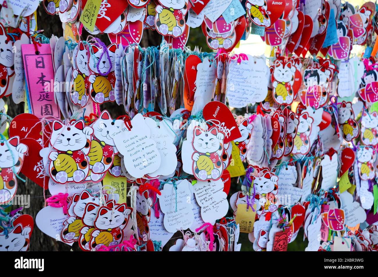 maneki neko japanisches Katzenbrett voller Nachrichten mit Glückwunsch Stockfoto