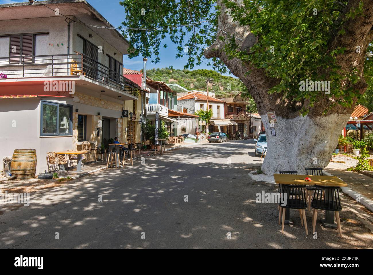 Riesige alte Platane auf der Straße im Dorf Stylos, Lefka Ori Berge, in der Nähe von Hania, Westkreta, Griechenland Stockfoto