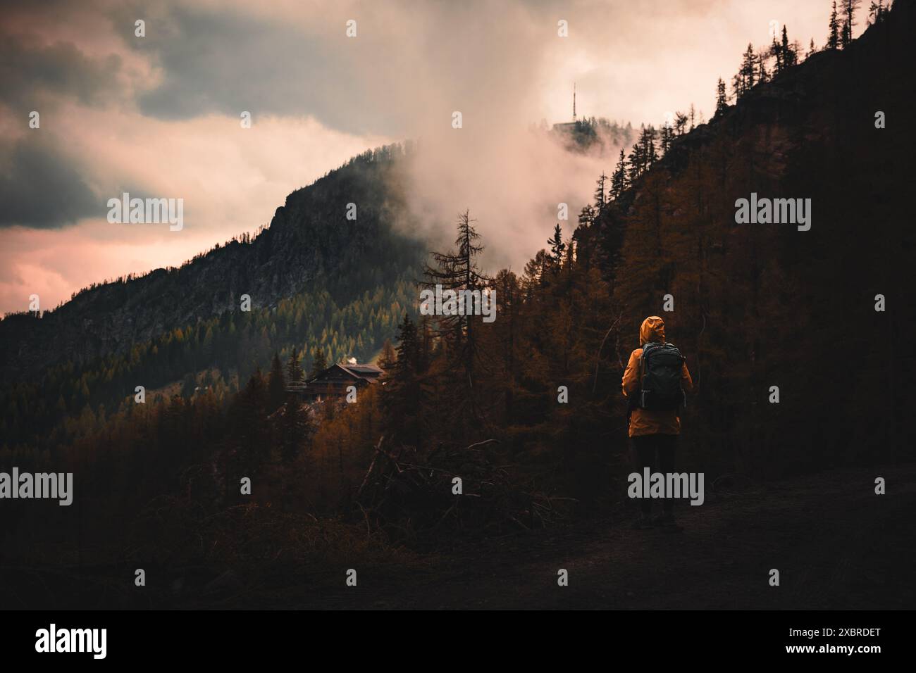 Eine Reisende Frau in einer gelben Jacke schaut beim Erkunden der Alpen einen Herbstblick Stockfoto