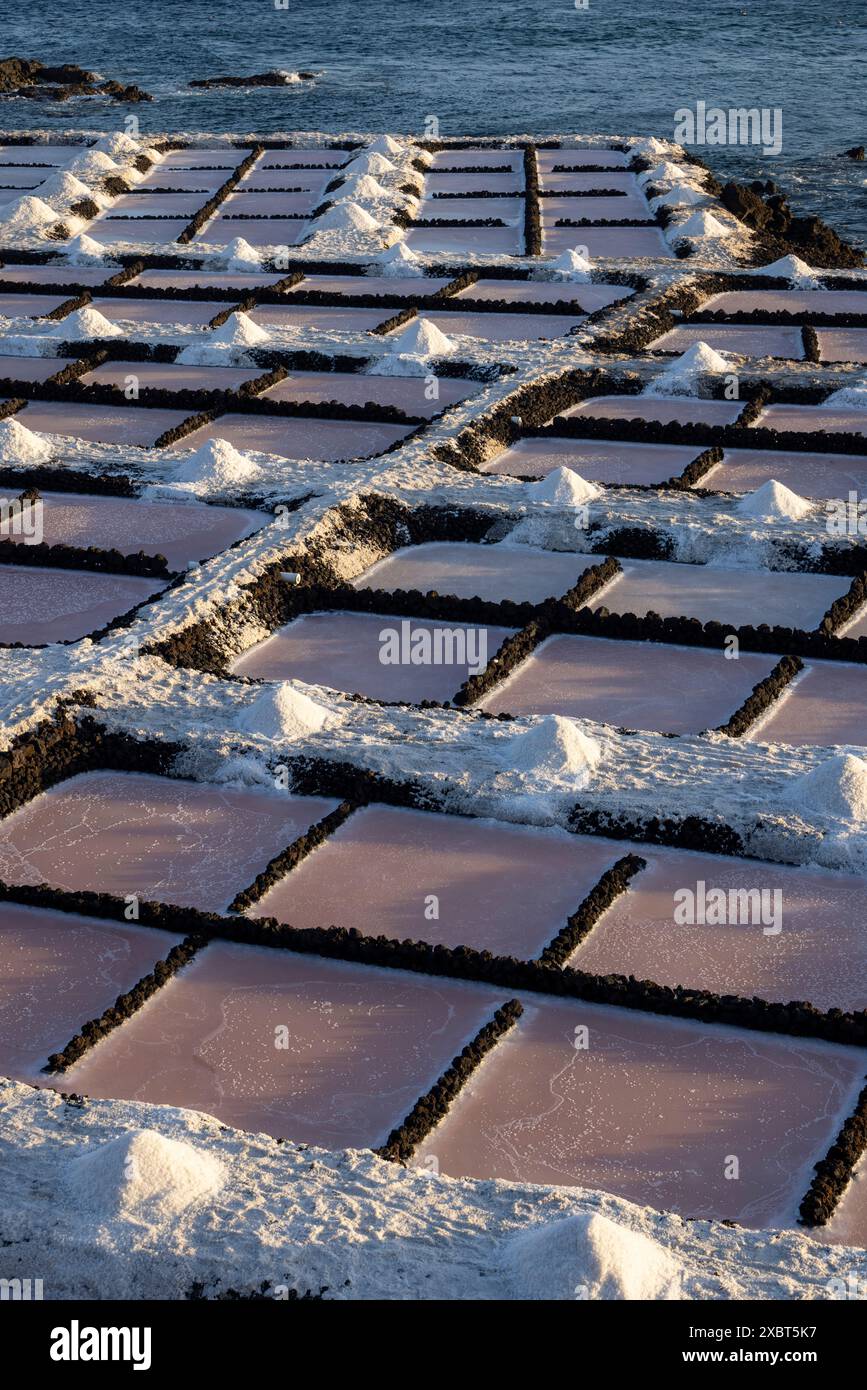 Salinas de Fuencaliente oder Salinas Teneguía, Salzdampfteiche, La Palma, Kanarische Inseln, Spanien Stockfoto