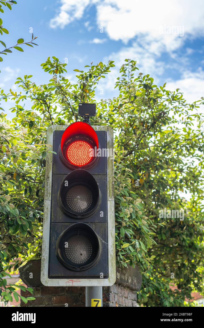 Nahaufnahme einer Ampel, Ampel in einem britischen Landdorf an einem sonnigen Tag rot. Stockfoto