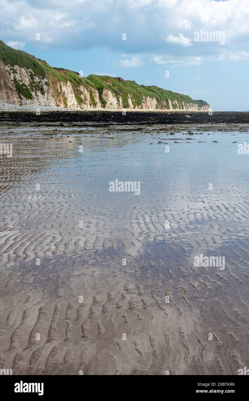 Danes Dyke Beach und Naturschutzgebiet auf Flamborough Headland in der Nähe von Bridlington, East Yorkshire, England, Großbritannien, an einem sonnigen Juni-Tag Stockfoto