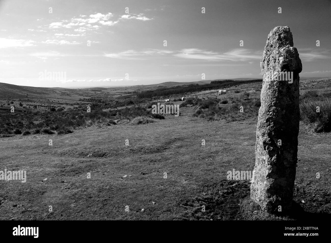 Dartmoor Cross. Devon, Großbritannien Stockfoto