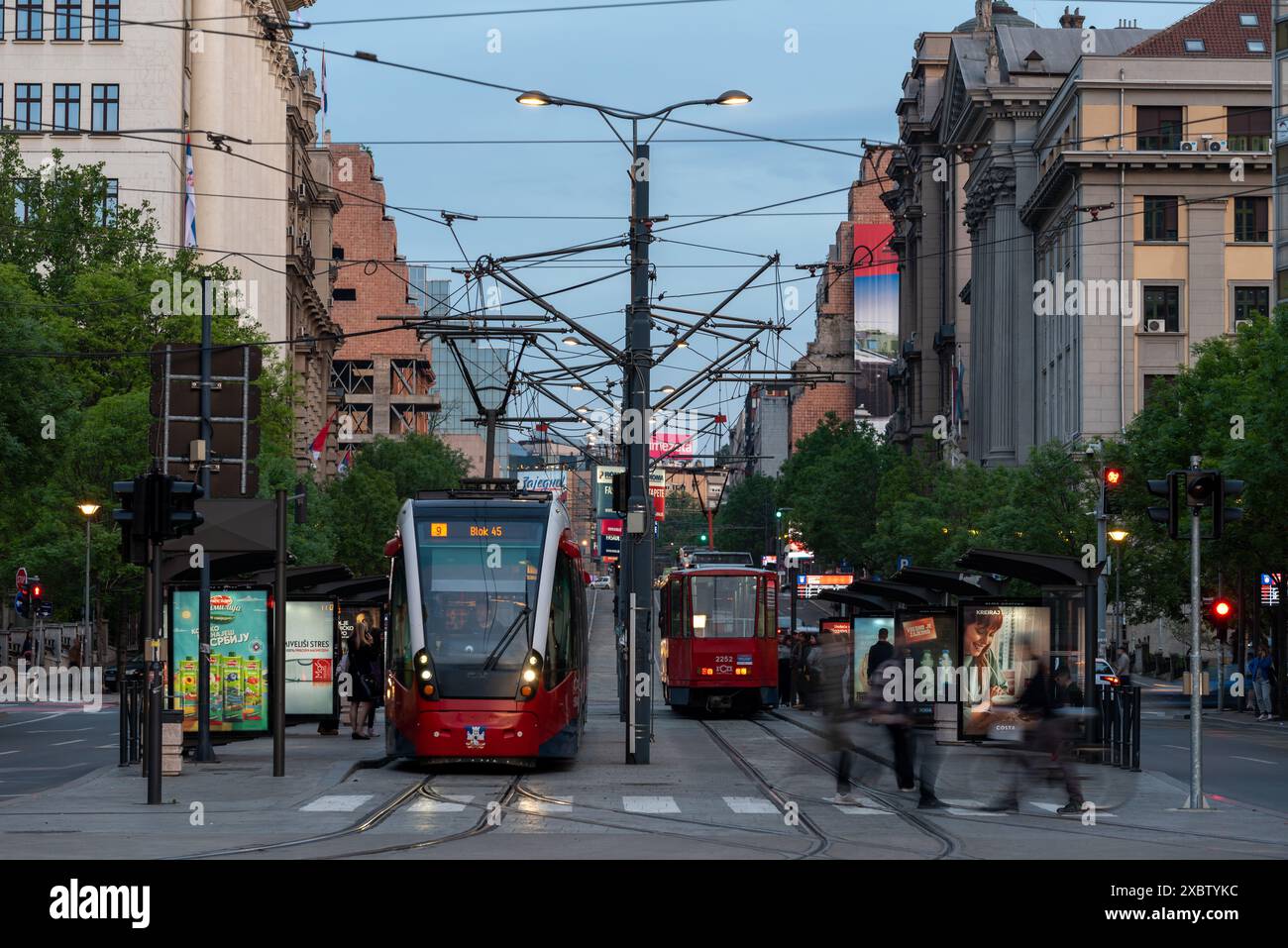 Traditionelle rote elektrische Straßenbahnen, die am frühen Abend Passagiere durch die Straßen von Belgrad bringen. Stockfoto