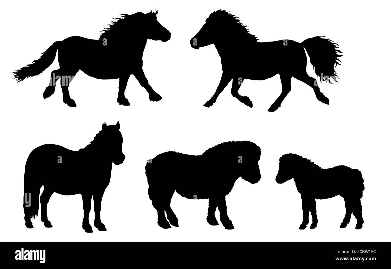 Schwarze Silhouette von Ponys. Illustration mit dem kleinen Pferd. Pferdeporträt. Stockfoto