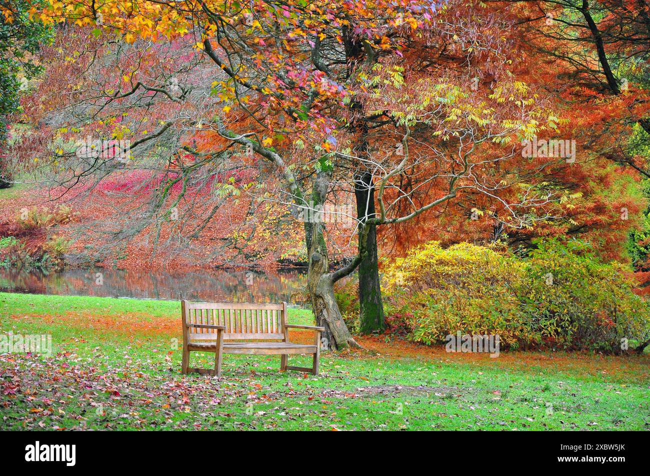 Wunderschöne Herbstfarben der Bäume und rustikale Holzbank auf Rasen, Stourhead Garden, Stourton, Warminster, Wiltshire, England, Großbritannien Stockfoto