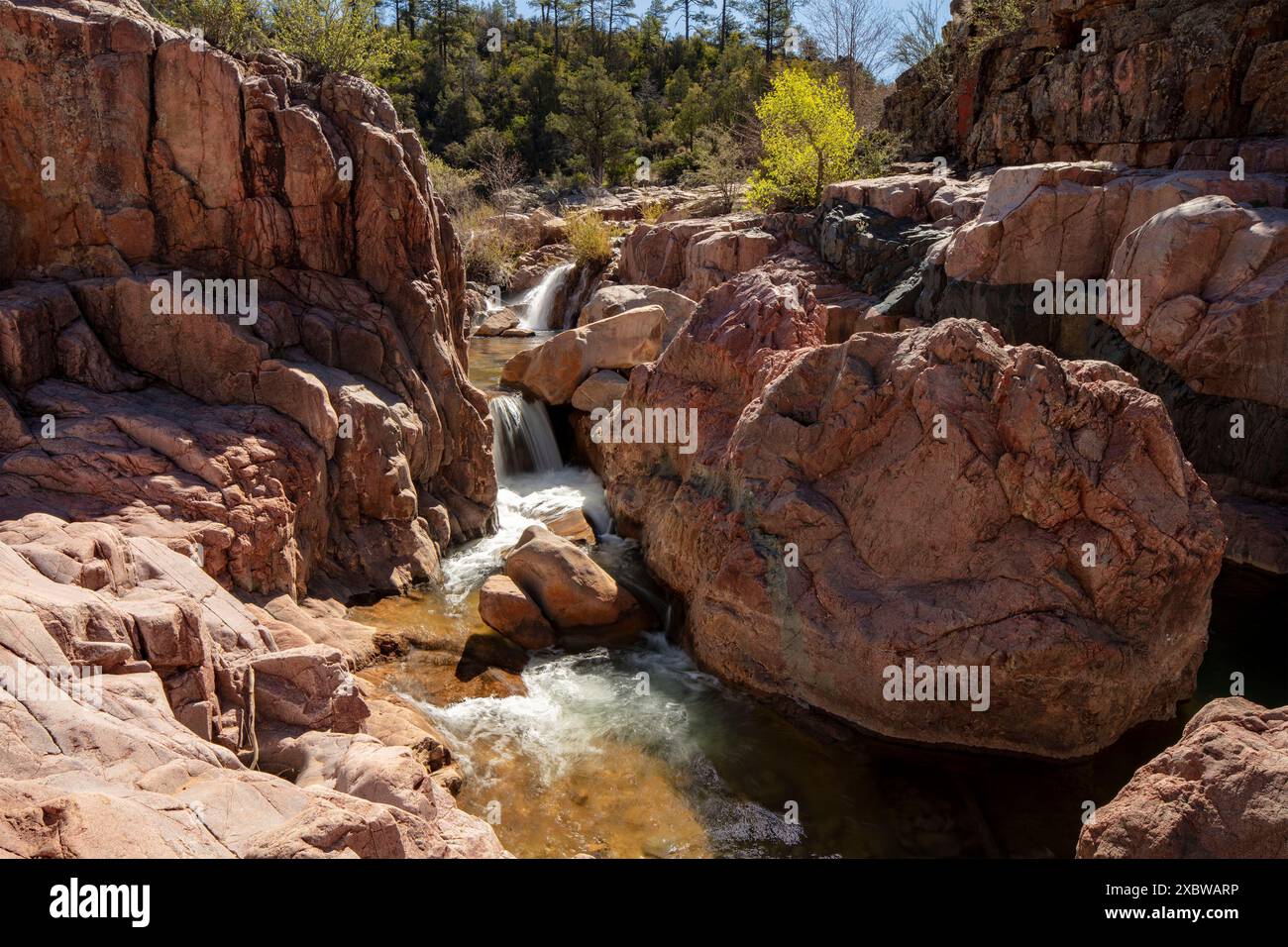 Wundervolle Wasserfälle entlang des herrlichen Water Wheel Falls Wander Trail in der Nähe von Peyson, Arizona (USA). Verführerisch, Erstaunlich, Atemberaubend, Fesselnd, Stockfoto