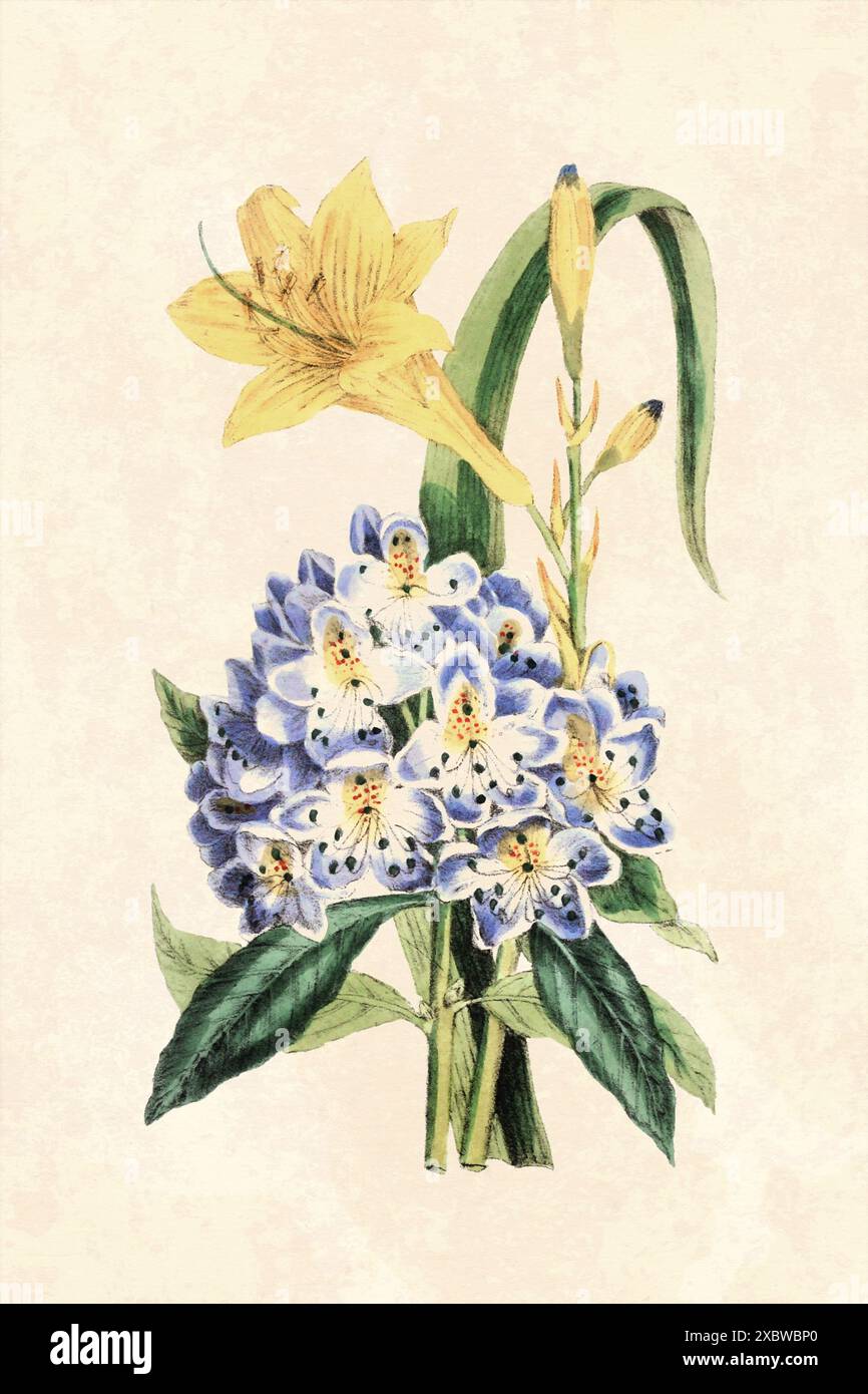 Rustikale Blume Illustration. Blumenkunst auf beigefarbenem Hintergrund. Kunst im Vintage-Stil. Stockfoto