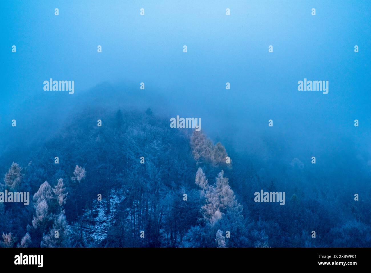 Landschaft, Natur, Nebel, See, Bäume, Wald, Berg, Thriller, Verbrechen, gruselig, Wettervorhersage, Wetterbericht, Tapete, Naturschutzgebiet, Aussicht Stockfoto