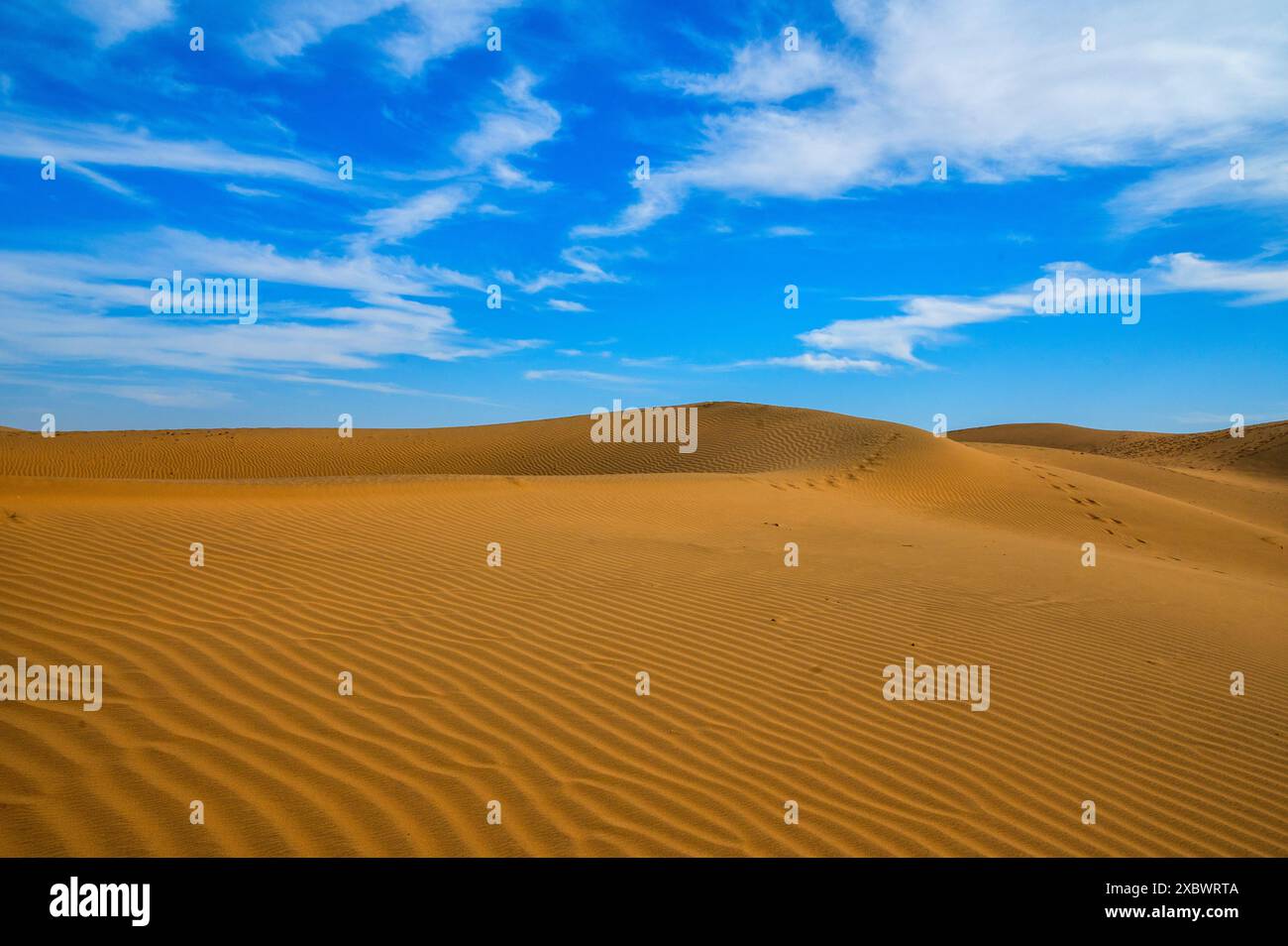 Die goldenen Dünen von Jaisalmer Rajasthan tummeln sich unter einem lebendigen und dramatischen blauen Himmel und schaffen eine ruhige Wüstenlandschaft. Stockfoto