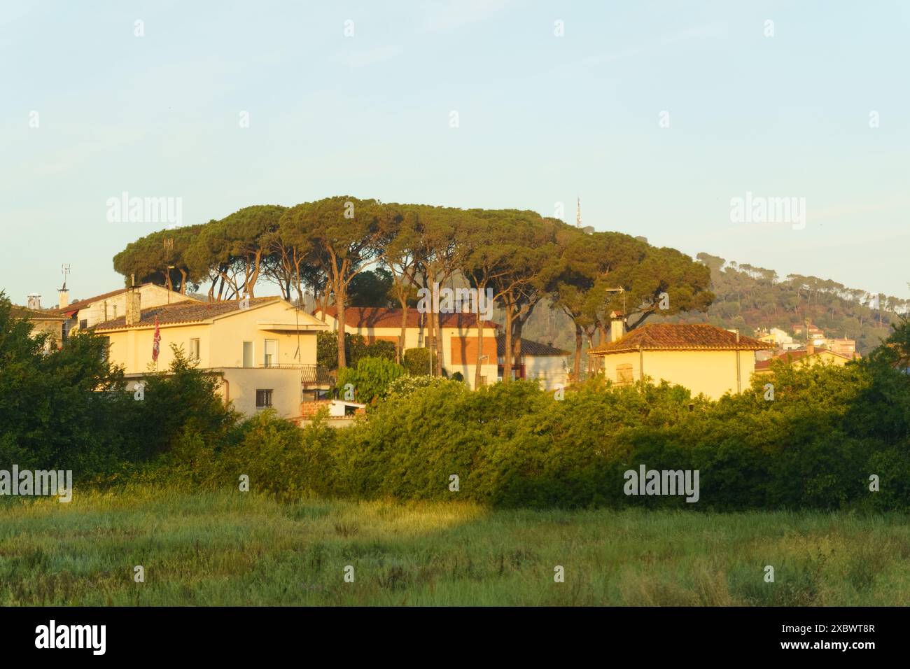 Blick auf ländliche Häuser in Spanien mit einer Gruppe von Kiefern im Vordergrund. Das goldene Stundenlicht strahlt ein warmes Licht auf die Szene. Stockfoto