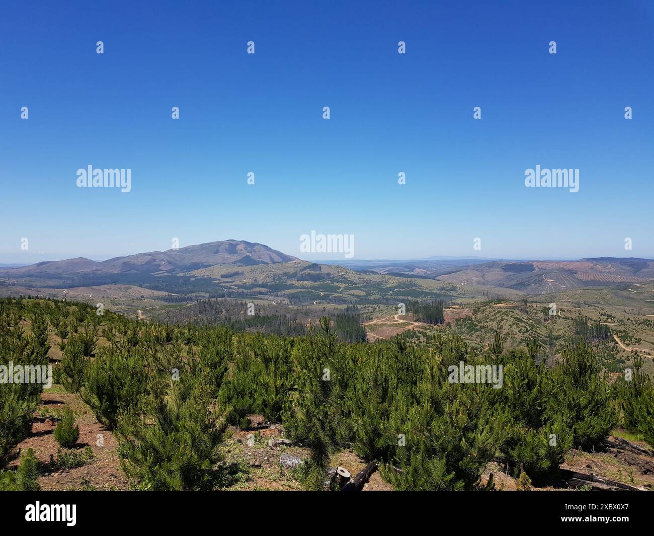 Die Landschaft wurde in der Region Maule in Chile gefunden Stockfoto