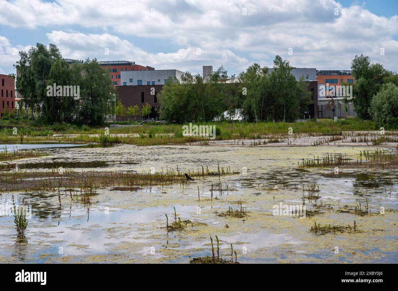 Haren, Flandern, Belgien - 8. Juni 2024 - das Gefängnis von Haren, eine neue Gefängnisanstalt mit einem Marsch Stockfoto