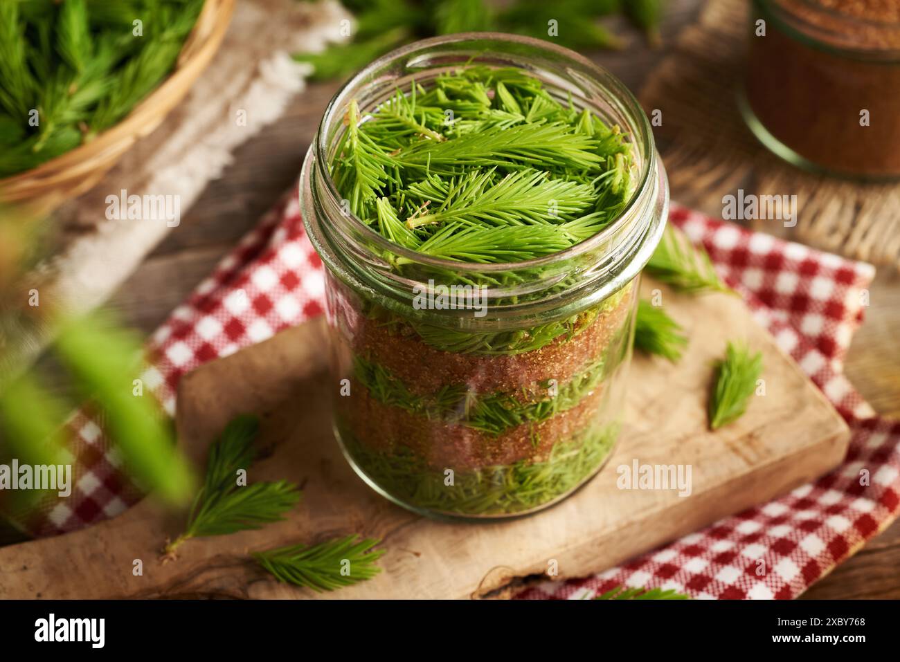 Herstellung von Kräutersirup für Husten aus frischen, jungen Fichtenspitzen, die im Frühjahr und in braunem Zucker geerntet werden Stockfoto