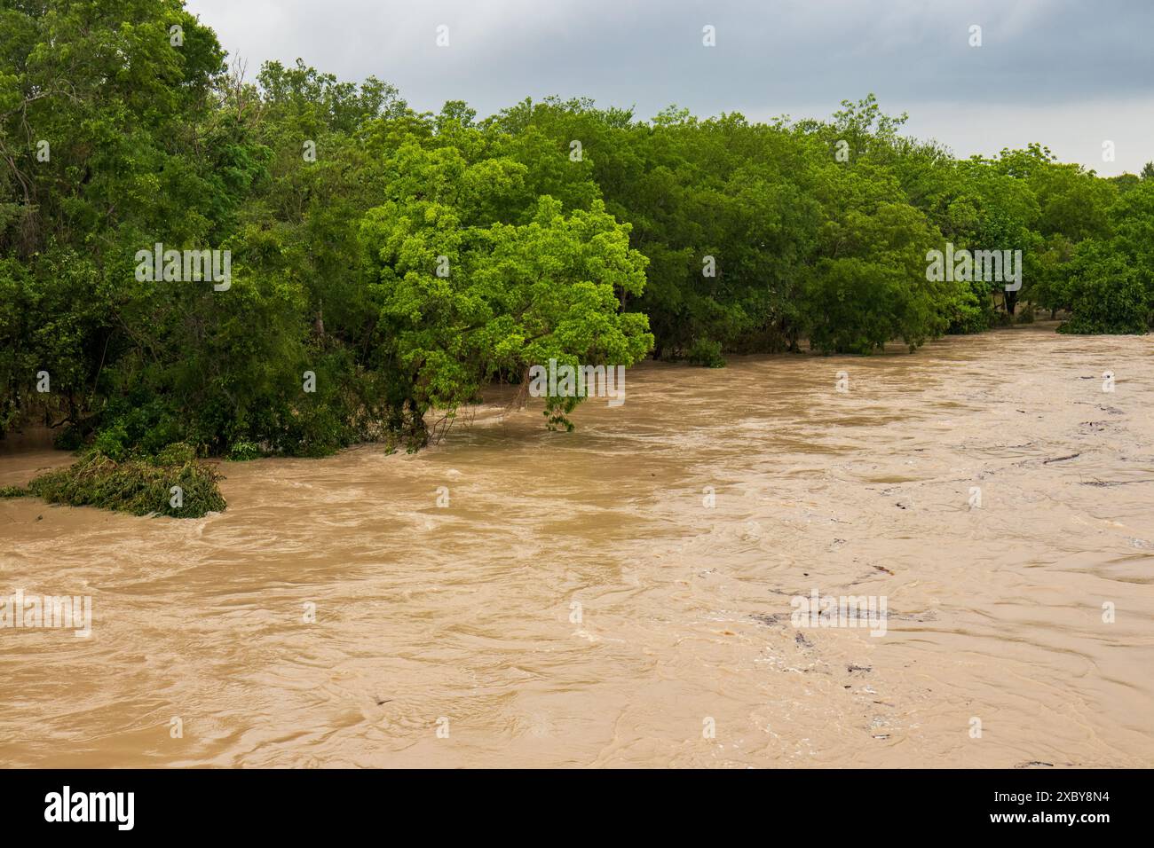 Raging River: Der Lampasas River im Texas Hill Country strotzt nach heftigen Regenfällen, überfluteten Ufern und der Kraft der Natur. Stockfoto