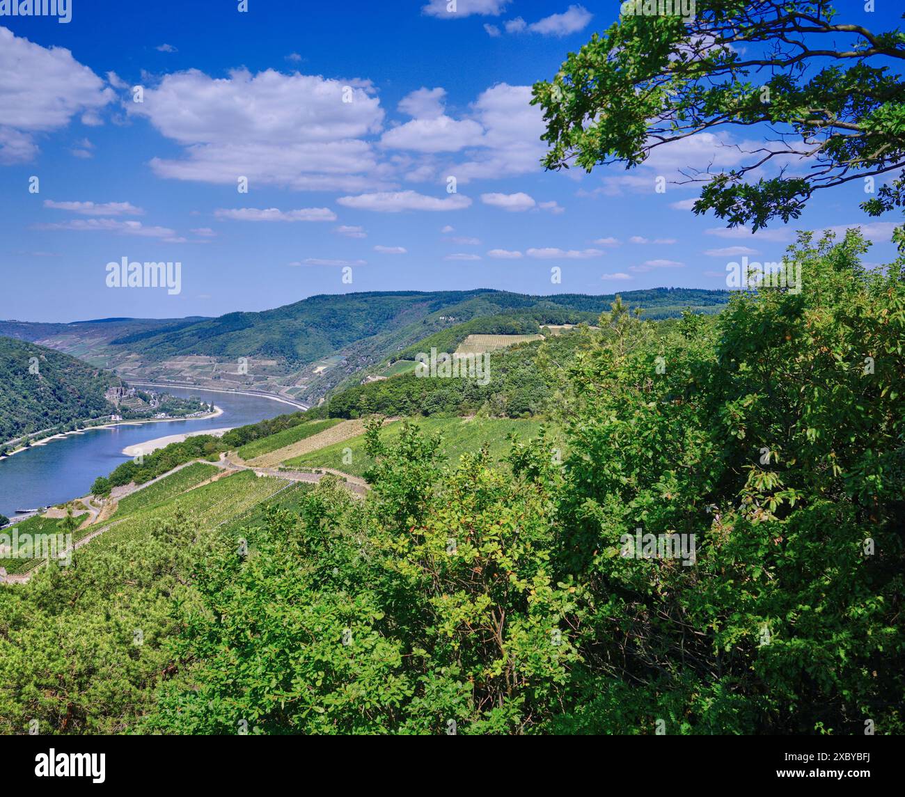 Rheinlandschaft von einem nahegelegenen Aussichtspunkt aus gesehen. Mittlerer Rhein Deutschland. Stockfoto