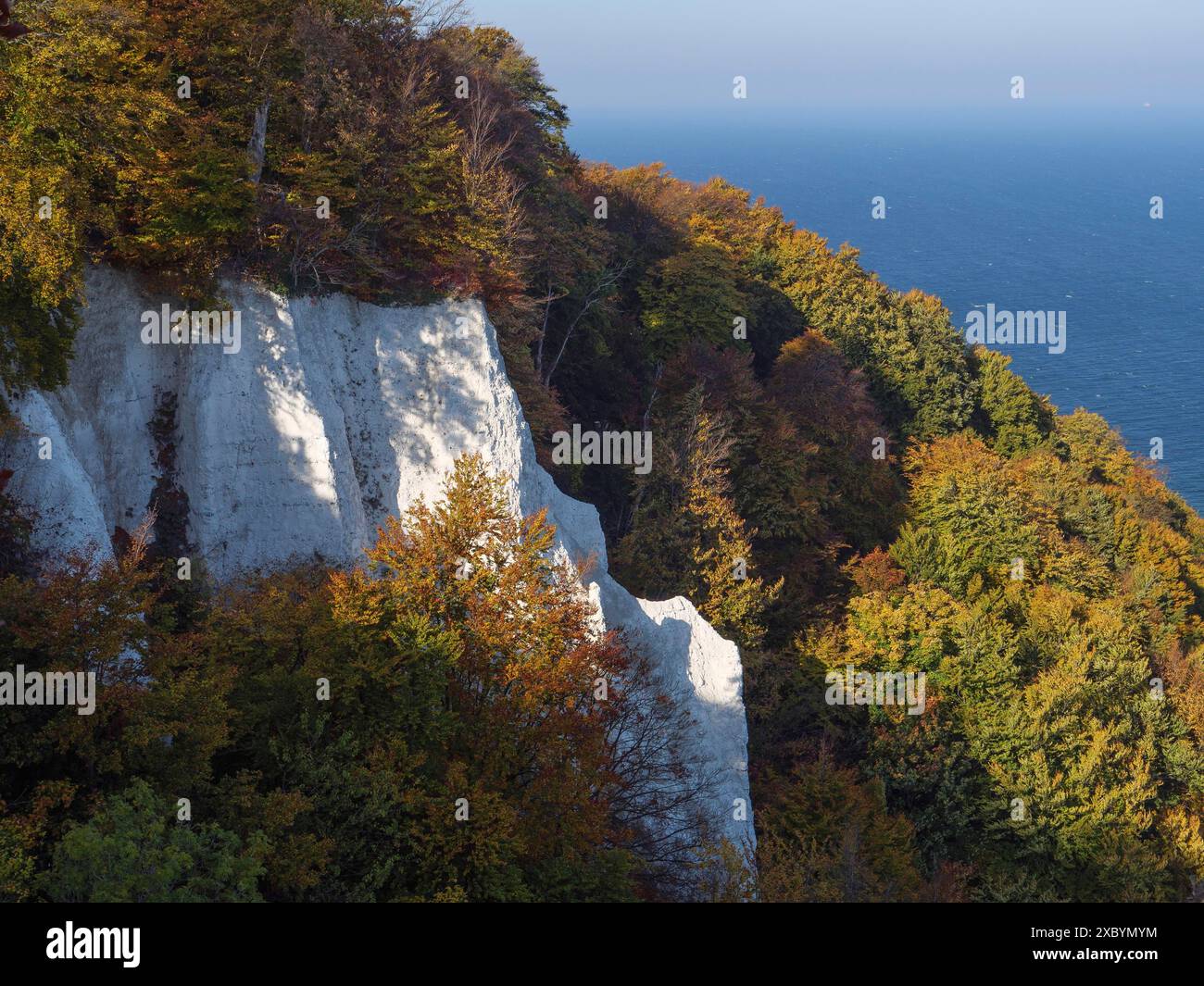 Herbstbäume auf weißen Klippen mit Blick auf das tiefblaue Meer, Binz, Rügen, Deutschland Stockfoto