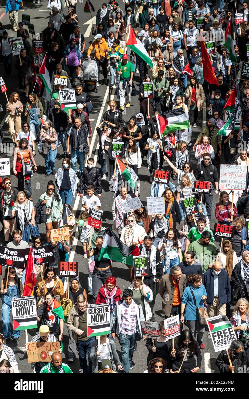 Demonstranten am Victoria Embankment, propalästinensische Proteste in Zentral-London am 08.06.2024, London, England, Vereinigtes Königreich Stockfoto