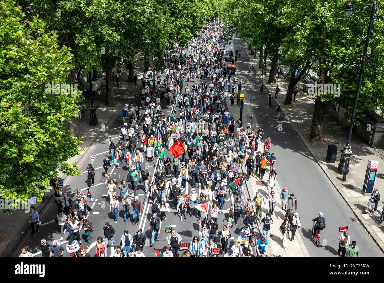 Demonstranten am Victoria Embankment, propalästinensische Proteste in Zentral-London am 08.06.2024, London, England, Vereinigtes Königreich Stockfoto