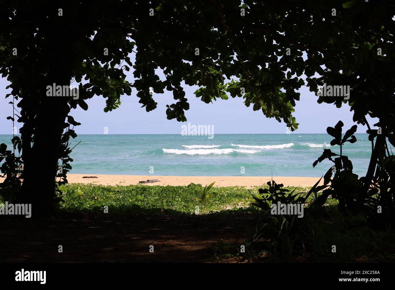 Leerer tropischer Strand mit grünen Pflanzen, Blick auf blaue Meereswellen. Hintergrund für Reisen und Entspannung in der paradiesischen Natur Stockfoto