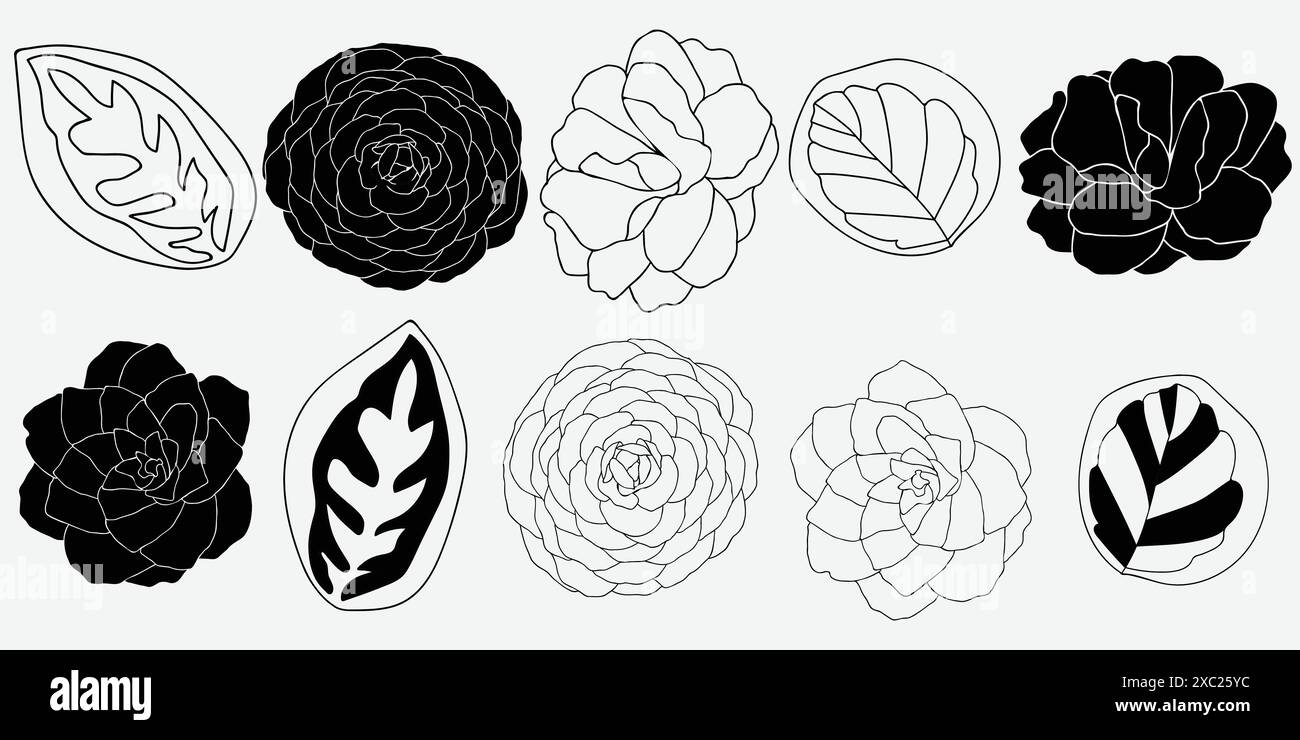 Abbildung: Blumen und Blätter auf weißem Hintergrund. Vektordarstellung. Stock Vektor