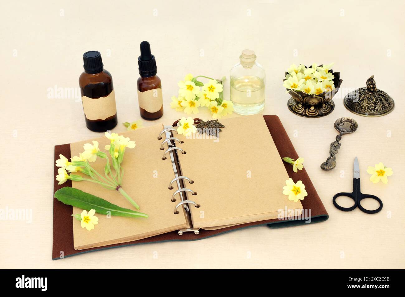 Naturheilkundliche Kräutermedikation mit Primula-Blüten, ätherische Ölflaschen mit Notizbuch. Natürliches Konzept für Blütenessenz auf Hanfpapier. Stockfoto