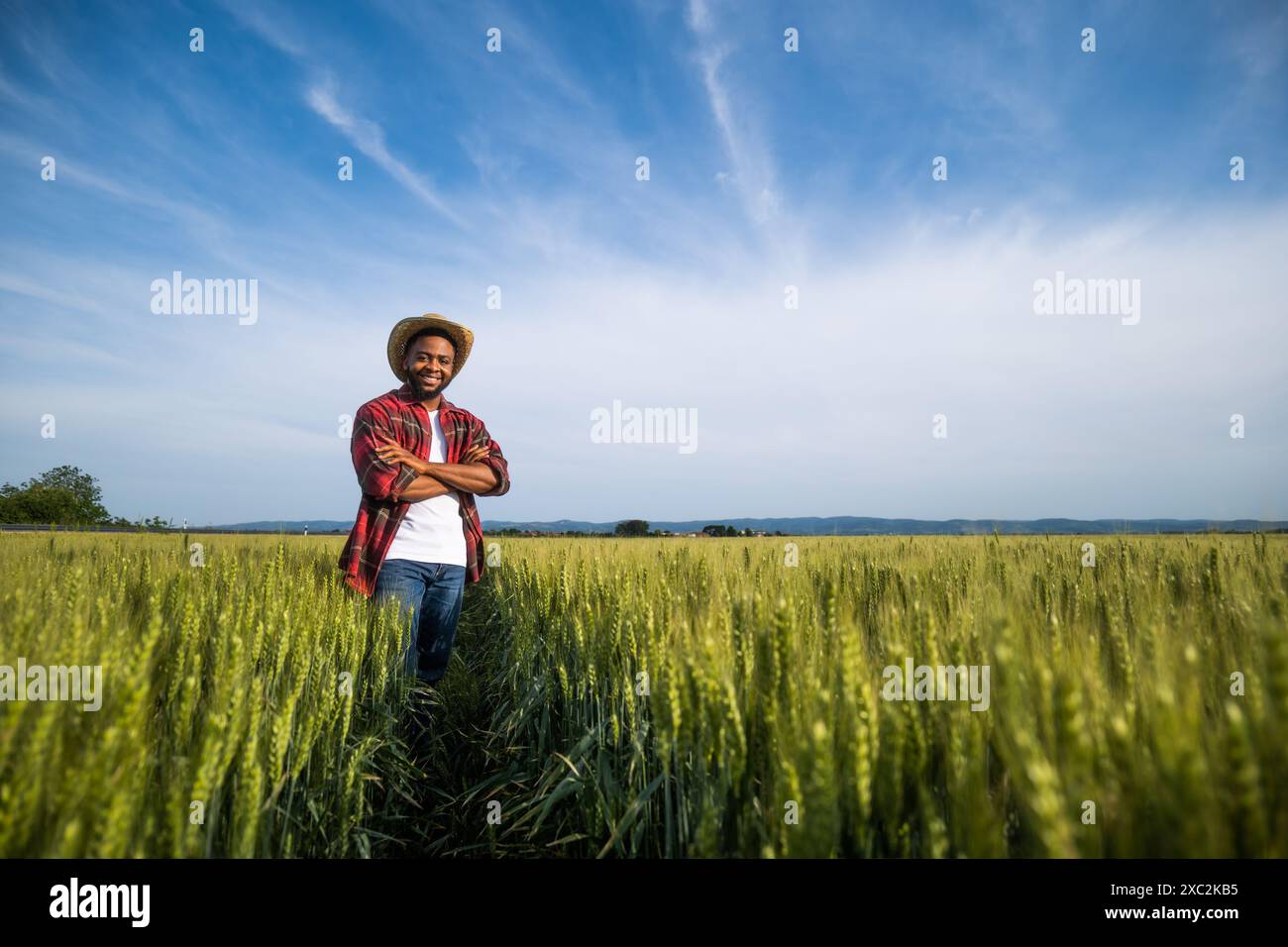 Ein junger glücklicher Bauer steht auf seinem wachsenden Weizenfeld. Stockfoto