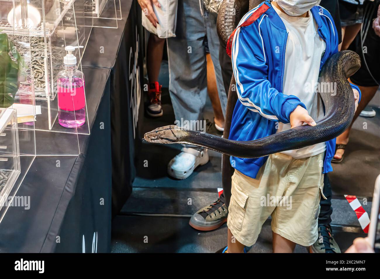 Schlange an der Hand des Jungen. Es ist ein beliebtes Haustier in Thailand. Stockfoto