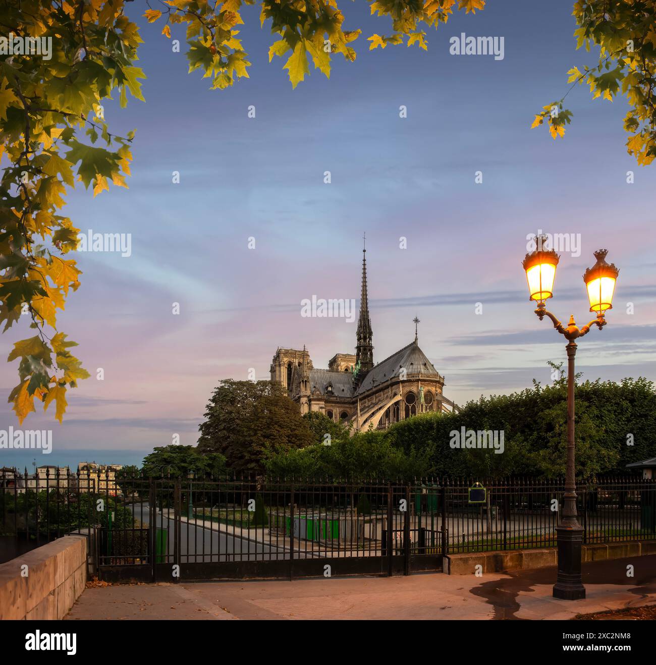 Notre Dame de Paris und Park am frühen Morgen, Frankreich Stockfoto
