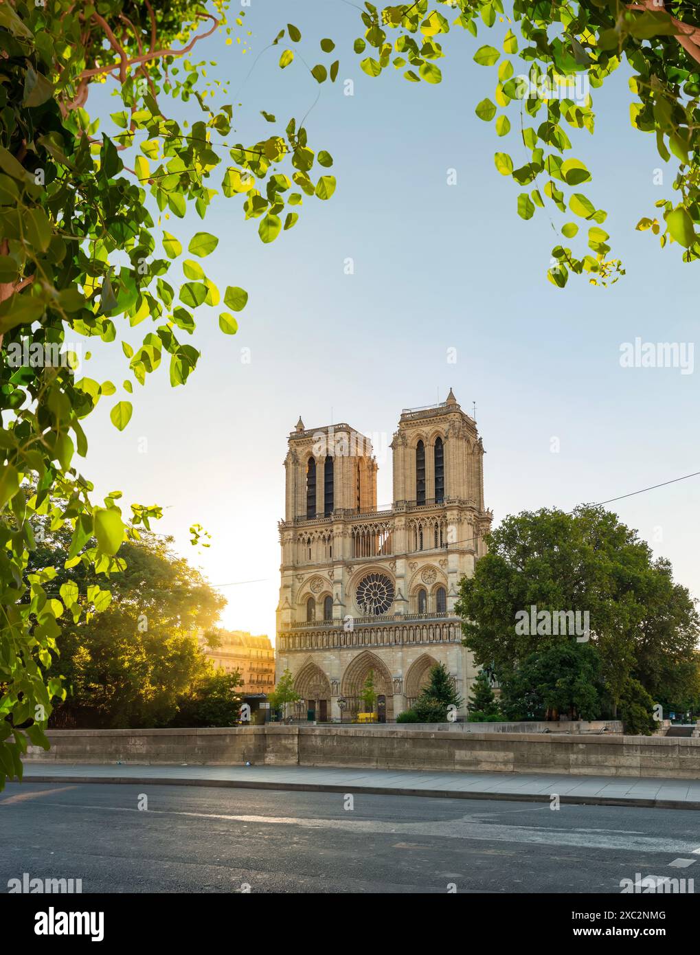 Notre Dame de Paris und Park am frühen Morgen, Frankreich Stockfoto