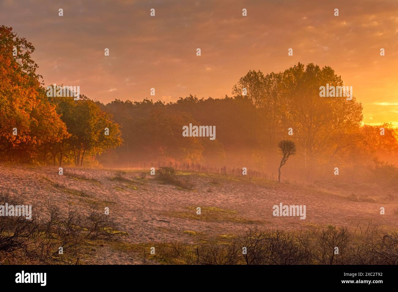 Herbstlandschaft mit Sonnenaufgang und Nebel Stockfoto